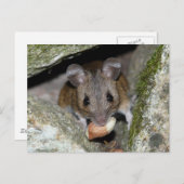 Carte Postale Une vraie bouche (Devant / Derrière)