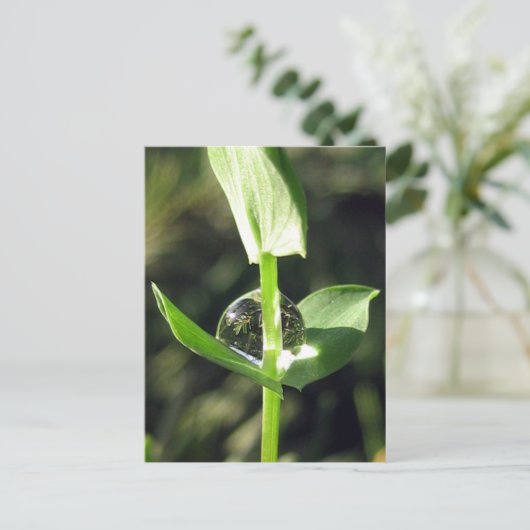 Carte Postale Une vue d'ensemble paisible sur la Méditation de l (Debout devant)