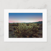 Carte Postale "Une vue pointue " (Devant)