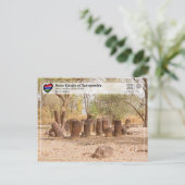 Carte Postale UNESCO - Cercles de pierre de Sénégal - Kerbatch (Debout devant)