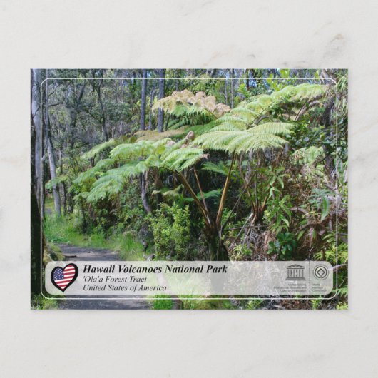 Carte Postale UNESCO - Hawaii Volcanoes NP - 'Ola'a Forest Post (Devant)