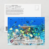 Carte Postale UNESCO - Papahānaumokuākea - Chaussures de la frég (Devant / Derrière)