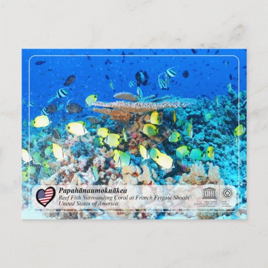 Carte Postale UNESCO - Papahānaumokuākea - Chaussures de la frég (Devant)