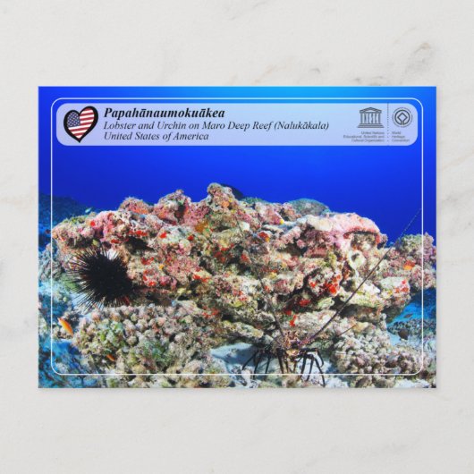 Carte Postale UNESCO - Papahānaumokuākea - Maro Reef (Devant)