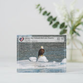 Carte Postale UNESCO - Parc national de la baie des Glaciers - A (Debout devant)