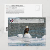 Carte Postale UNESCO - Parc national de la baie des Glaciers - A (Devant / Derrière)