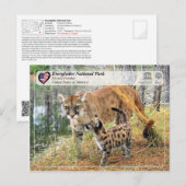 Carte Postale UNESCO - Parc national des Everglades - Floride Pa (Devant / Derrière)