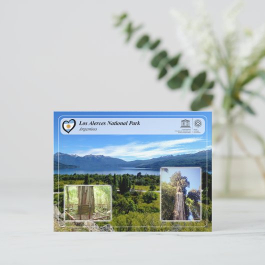 Carte Postale UNESCO - Parc national Los Alerces (Debout devant)