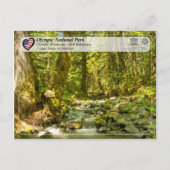 Carte Postale UNESCO - Parc national olympique - Forêt tropicale (Devant)