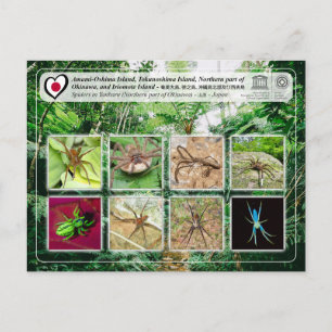 Carte Postale UNESCO - Partie nord de l'île d'Okinawa - 沖 縄 島 北 