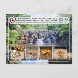 Carte Postale UNESCO - Partie nord de l'île d'Okinawa - 沖 縄 島 北 