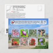 Carte Postale UNESCO - Partie septentrionale de l'île d'Okinawa  (Devant / Derrière)