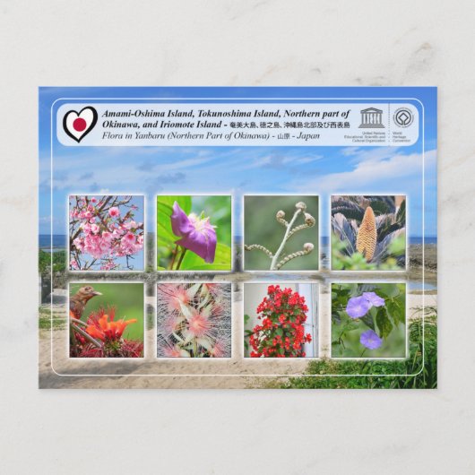 Carte Postale UNESCO - Partie septentrionale de l'île d'Okinawa  (Devant)