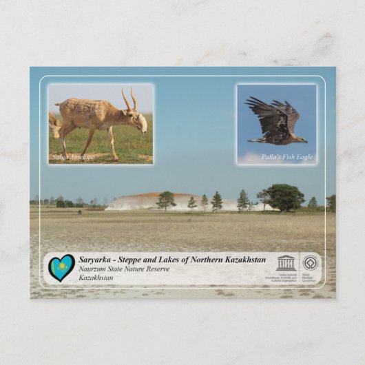 Carte Postale UNESCO - Saryarka - Réserve naturelle d'État de Na (Devant)