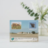 Carte Postale UNESCO - Saryarka - Réserve naturelle d'État de Na (Debout devant)