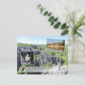 Carte Postale UNESCO - Tsingy de Bemaraha Strict Nature Reserve (Debout devant)