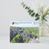 Carte Postale UNESCO - Tsingy de Bemaraha Strict Nature Reserve (Debout devant)