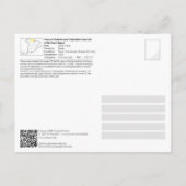 Carte Postale UNESCO WHIS - Grotte Ekain / Cueva de Ekain (Dos)