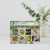 Carte Postale UNESCO WHS - Atsinanana - Parc national de Masoala (Debout devant)