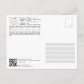 Carte Postale UNESCO WHS - Eglises de Moldavie - Arbore (Dos)