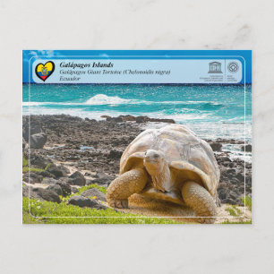 Carte Postale UNESCO WHS - Galápagos Islands - Giant Tortoise