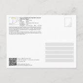 Carte Postale UNESCO WHS - Grotte de Llonín / Cueva de Llonín (Dos)