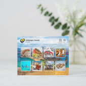 Carte Postale UNESCO WHS - Îles Galápagos (Debout devant)