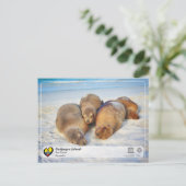 Carte Postale UNESCO WHS - Îles Galápagos - Lions de mer (Debout devant)