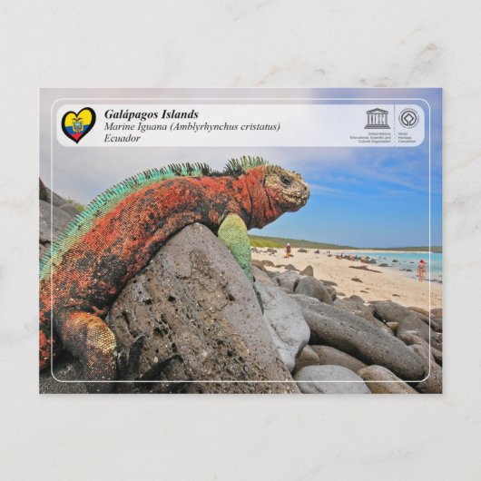 Carte Postale UNESCO WHS - Îles Galápagos - Marine Iguana (Devant)