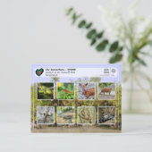 Carte Postale UNESCO WHS - Les Sundarbans (Debout devant)