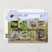 Carte Postale UNESCO WHS - Les Sundarbans (Devant / Derrière)