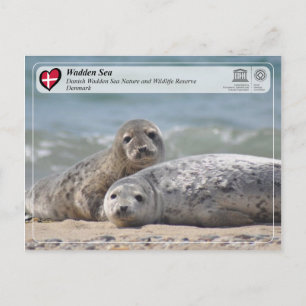 Carte Postale UNESCO WHS - Mer des Voies Danoises