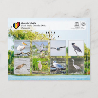 Carte Postale UNESCO WHS - Oiseaux dans le delta du Danube