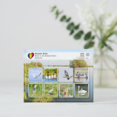 Carte Postale UNESCO WHS - Oiseaux dans le delta du Danube (Debout devant)