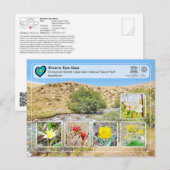 Carte Postale UNESCO WHS - Ouest Tien-Shan - Sairam-Ugam (Devant / Derrière)