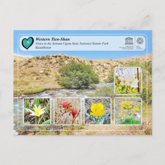 Carte Postale UNESCO WHS - Ouest Tien-Shan - Sairam-Ugam (Devant)