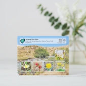 Carte Postale UNESCO WHS - Ouest Tien-Shan - Sairam-Ugam (Debout devant)