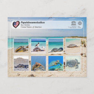 Carte Postale UNESCO WHS - Papahānaumokuākea - Tortues de mer