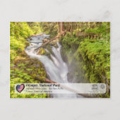 Carte Postale UNESCO WHS - Parc National Olympique - Sol Duc Fal (Devant)