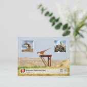 Carte Postale UNESCO WHS - Parc provincial de Dinosaur (Debout devant)