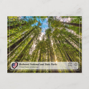 Carte Postale UNESCO WHS - Parcs nationaux et nationaux de Redwo