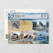 Carte Postale UNESCO WHS - Península Valdés (Devant / Derrière)