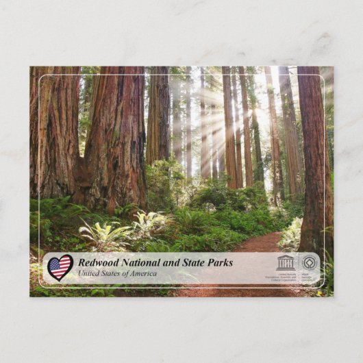 Carte Postale UNESCO WHS - Redwood National and State Parks (Devant)