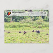 Carte Postale UNESCO WHS - Sangha Trinational - Lobéké (Devant)