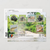 Carte Postale UNESCO WHS - Sangha Trinational - Lobéké (Devant / Derrière)