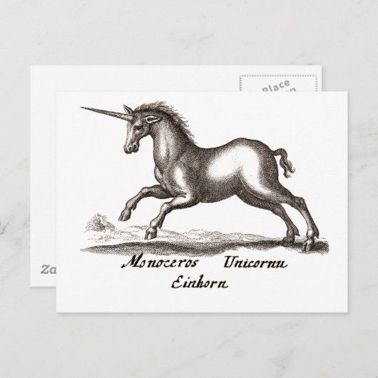 Carte Postale Unicorn Classic Running Magic Woodland Créature (Devant / Derrière)
