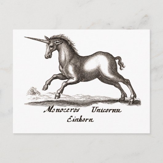 Carte Postale Unicorn Classic Running Magic Woodland Créature (Devant)