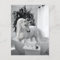 Unicorne dans la baignoire