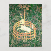 Carte Postale Unicorne En Captivité (Devant)