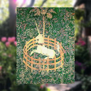 Carte Postale Unicorne En Captivité